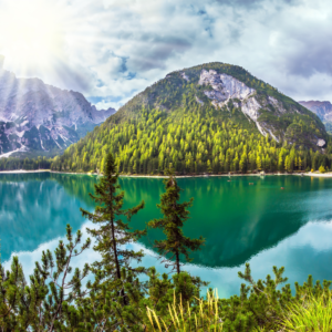 Mountains behind a large lake surrounded by trees.