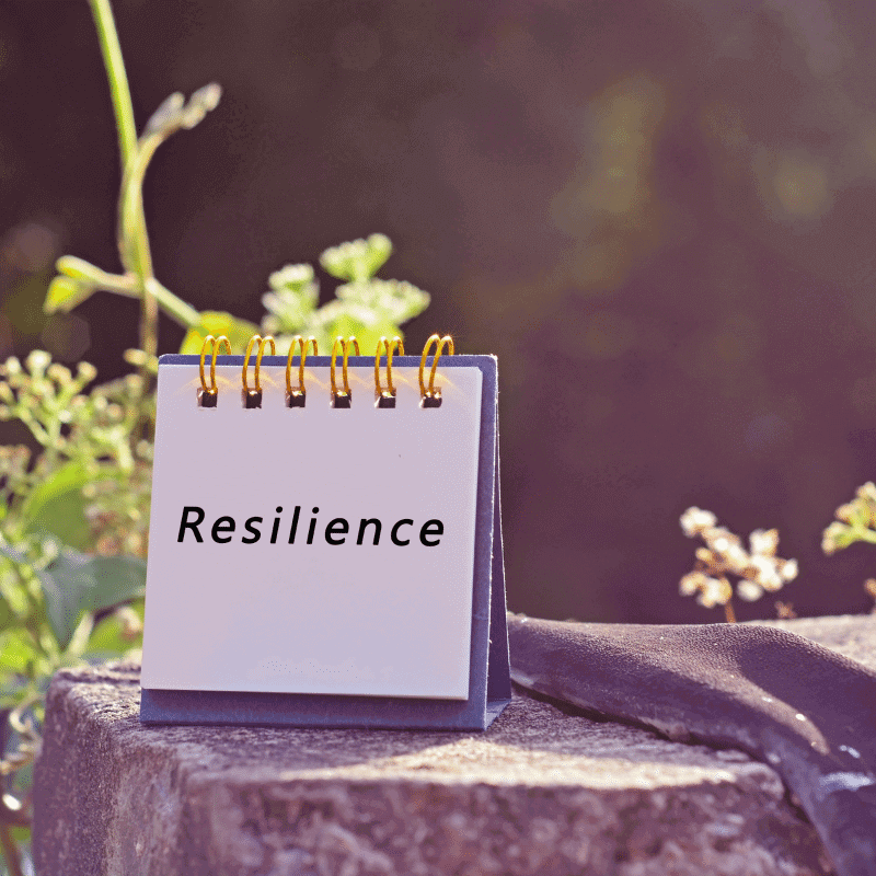 Facets of Resilience