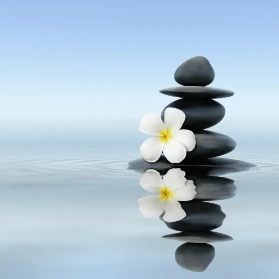 A stack of rocks with a white flower floating on water