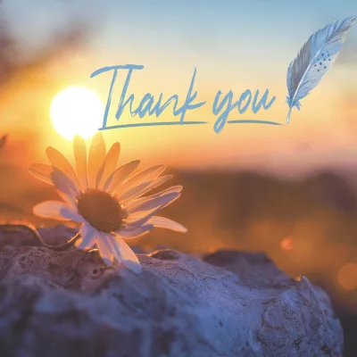 A daisy on a rock with sunset in the background, and the words Thank you