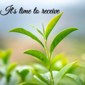 It's time to receive with a green plant in the background