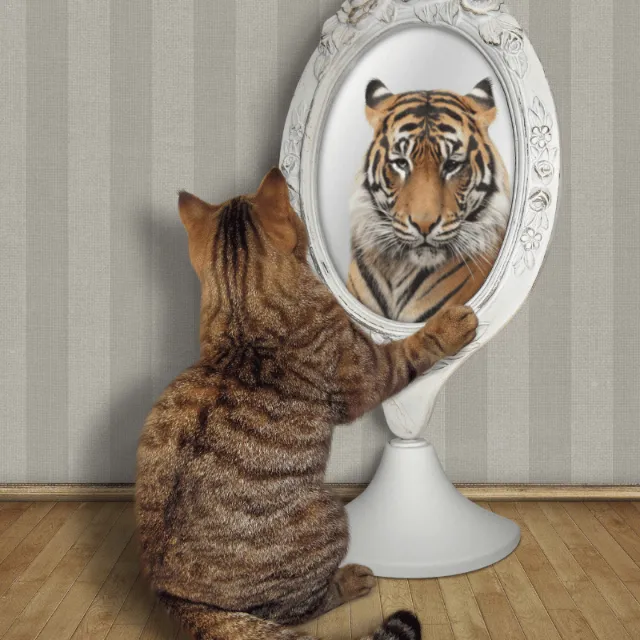 View yourself through the eyes of a mother - a cat in front of a mirror - the reflection back is of a tiger
