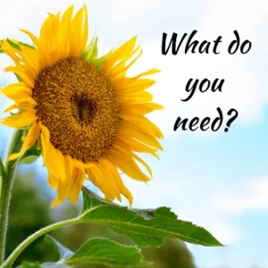 Sunflower reaching towards a clear blue sky - the words What do you need? are next to it