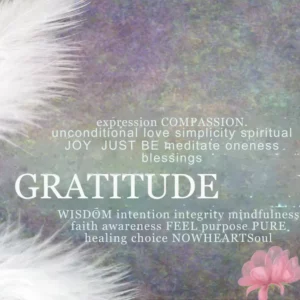 Textured background with two white feather on the left, and small pink flower on the right. The words Gratitude, meditation, joy, compassion and more are on it