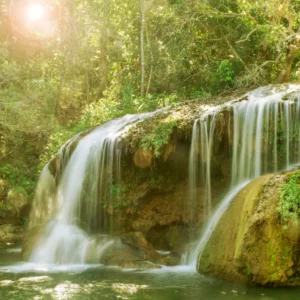 Filling your cup with abundance. A green forest with a waterfall flowing down over rocks and into a pool below